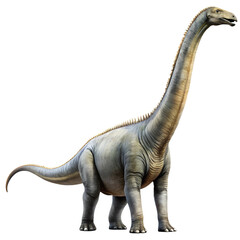 Obraz premium Dreadnoughtus Schrani Zuniceratops Christopheri isolated on transparent background