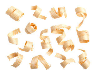 Thin, curled wood shavings arranged in a scattered pattern.