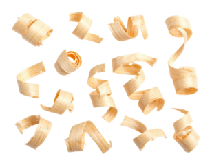 Thin, curled wood shavings arranged in a scattered pattern.