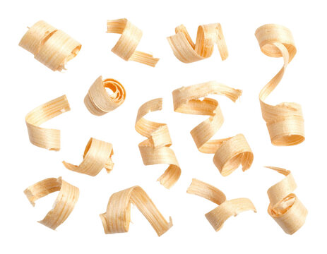 Thin, curled wood shavings arranged in a scattered pattern.