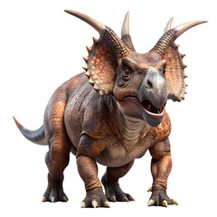 Fototapeta premium Pachyrhinosaurus Canadensis Zuniceratops Christopheri isolated on transparent background