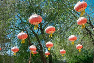 red Chinese New Year lanterns on a green tree background
