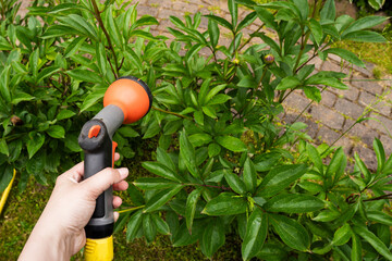 Naklejka premium Watering Plants with Garden Hose