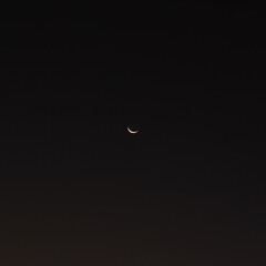 crescent moon in night