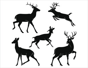 Obraz premium Set of Vector Deer in Elegant Silhouettes – Microstock Ready