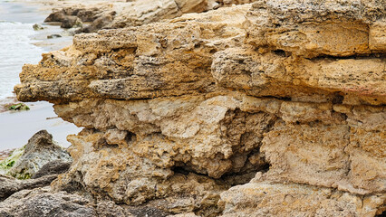 Eroded coastal rock formation on a beach, shaped by wind and sea over time. Natural textures and layers reveal the geological history of the shoreline in a close-up view.