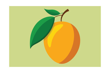 vector illustration of mango