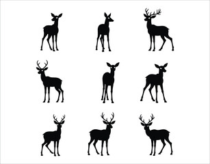 Fototapeta premium Wildlife Deer Silhouette Icons – Vector Style on White