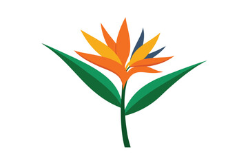 orange flower isolated on white