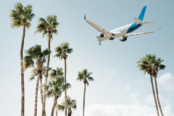 airplane arrives above palm trees