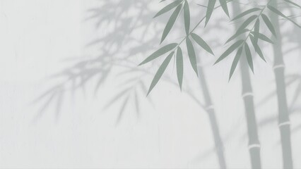 Naklejka premium Elegant Bamboo Stalks and Leaves with Soft Shadow on Light Background