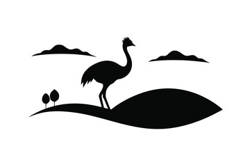 black swan on a white background