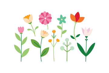 vector illustration of tulips