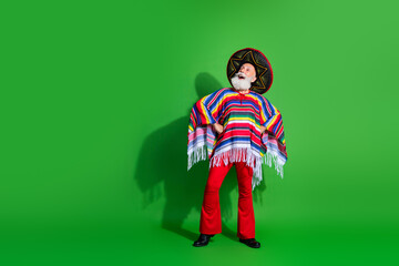 Charismatic elderly man in vibrant Mexican-inspired attire with sombrero and poncho celebrating traditions