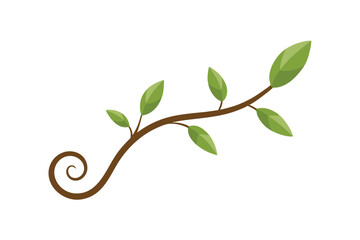 green leaves isolated on white background