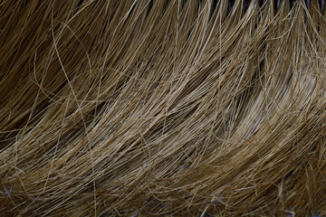 texture of plastic broom