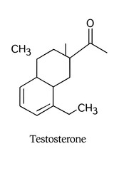 Chemical structure of testosterone molecule with labels  