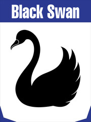 Fototapeta premium Elegant Black Swan Silhouette for Graceful Designs