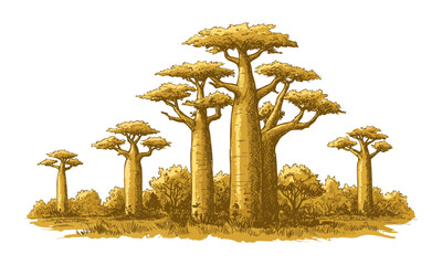 Baobab trees in a savanna landscape savannah wilderness art.