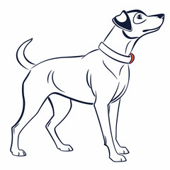 Obraz premium Dog standing upright with collar and alert expression 