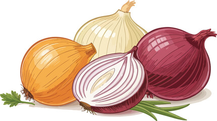 Onion Design on White Background Vector Illustration graphic