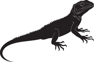 Obraz premium Lizard grooming using its legs to clean or adjust scales, head turned slightly in a full-length silhouette.