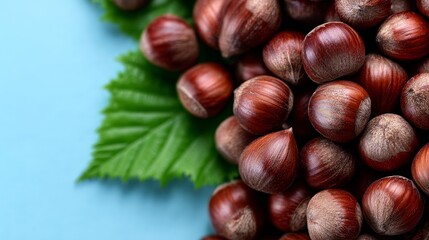 Obraz premium Hazelnut concept design layout with natural textures and earthy tones, minimalistic composition highlighting fresh nuts and leaves, elegant and clean food presentation style