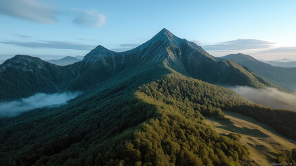 Naklejka premium Mountain landscape green forest morning light mist serene peak natural beauty tranquil