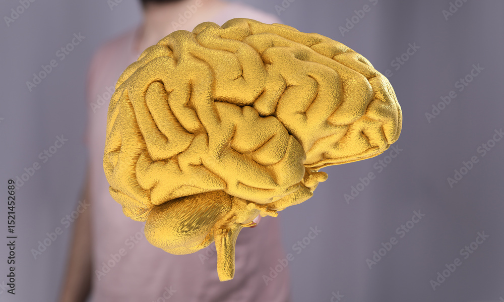 Aufkleber 3d render of a golden brain. ideal for concepts of intelligence, neurology, or success.