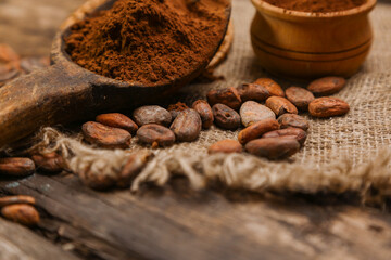 Cacao Beans and Cocoa Powder on Rustic Wooden Background with Natural Texture

