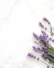 Obraz premium Minimalistic white background with soft texture, featuring lavender flowers in the bottom-right corner
