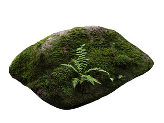 stone overgrown with moss isolated on white background