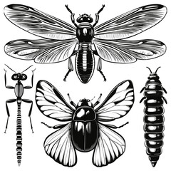 Insects Black & White Line Icons Set PNG | Dragonfly, Bug, Nature Outline Illustration