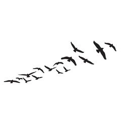Silhouettes of Flying Birds on White Background vector
