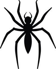 spider on a white background