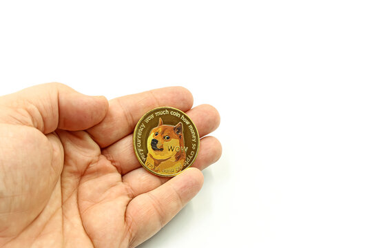 Hand showing a cryptocurrency DOGECOIN. Space for text.
