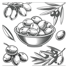 Natural Olive Collection Set PNG | Olive Branch, Oil, Fruit, Mediterranean Icons