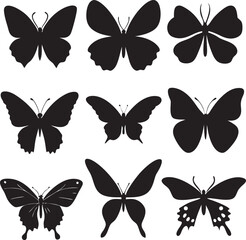 Obraz premium collection of butterflies