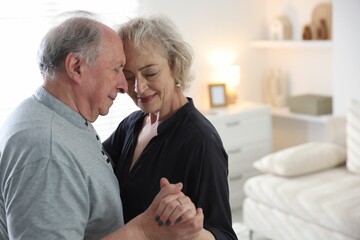 Lovely senior couple at home, space for text
