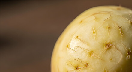 Delicate Macro Shot Capturing the Unique Surface of a Fresh Prickly Pear