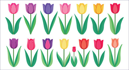 Vector Illustration Of Colorful Tulips On A White Background
