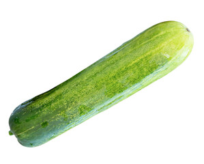 Top view of single long green cucumber isolated on white background with clipping path