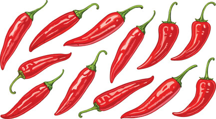 Red Chili Illustration on White Background vector design
