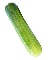 Top view of single long green cucumber isolated on white background with clipping path
