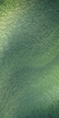 Abstract green textured background image