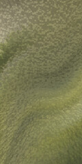 Abstract olive green textured background image
