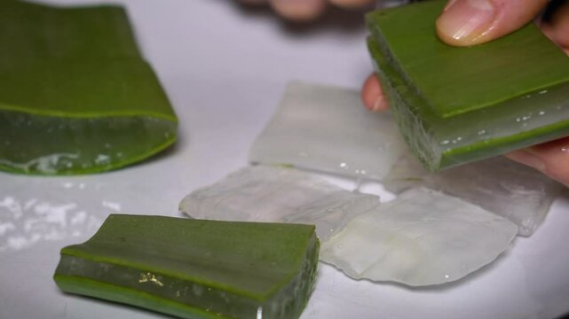 Aloe Vera leaf on black background with gel being removed. Fresh, natural skincare ingredient. Herbal, soothing plant used in DIY beauty, healing, and moisturizing treatments.