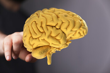 A 3D golden brain model symbolizes intellect, ideas, and potential. Perfect for concepts of intelligence, innovation, and neurology.