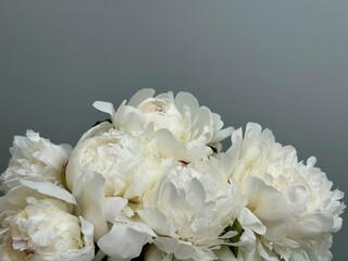 Bouquet of fresh white peonies on the gray background  © Natalia