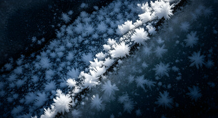 Delicate Frost Formations Evoke Winter's Enigmatic Beauty on a Frozen Surface